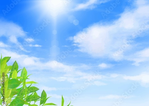 太陽の光が差し込む雲のある青空に新緑の美しい花と葉っぱの初夏フレーム背景素材