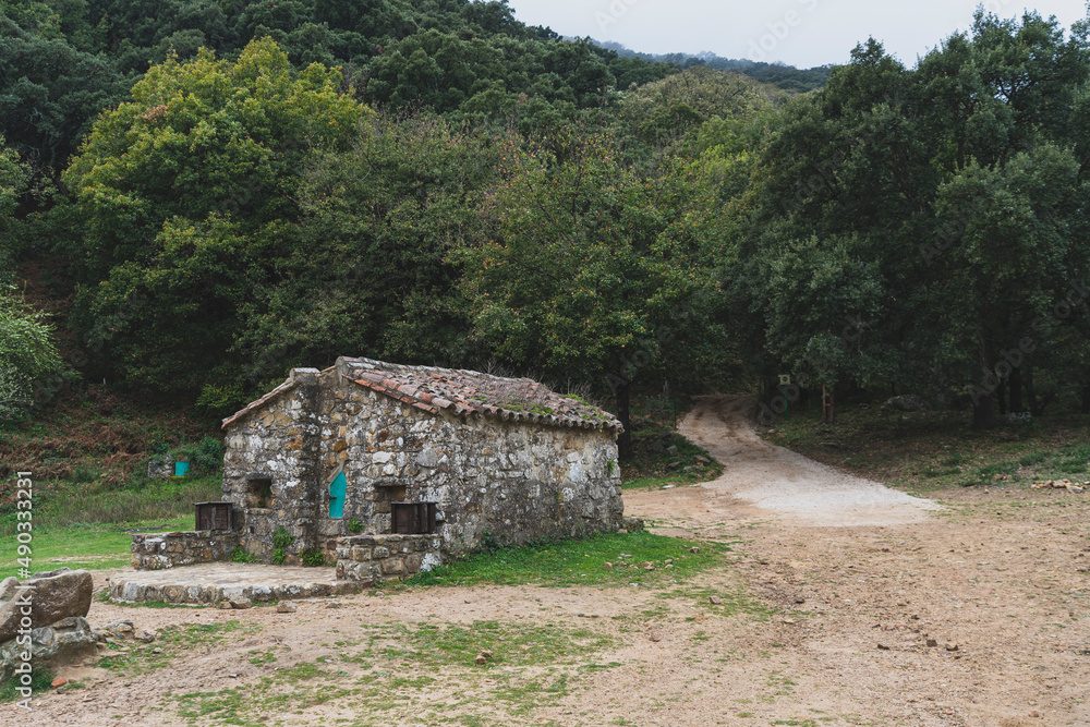 Fototapeta premium Paisaje de bosque con pequeña cabaña de piedra en el camino