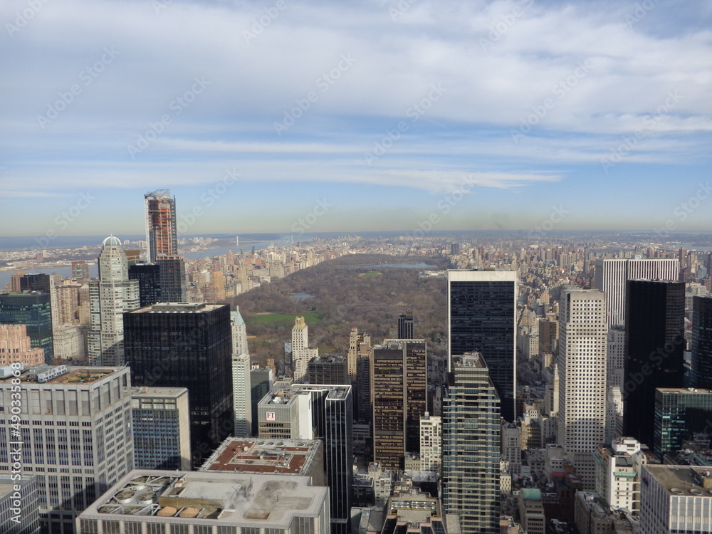 new york city top of view in front of central park with a blue sky