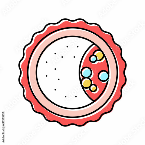 blastocyst fertilization color icon vector illustration