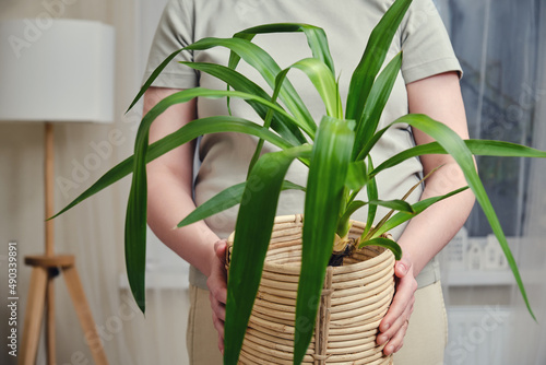 A woman holds a pot with a plant yucca in her hands while standing in a home living room
