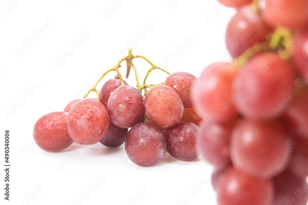 Fototapeta premium Bunch of red grapes , fresh with water drops. Isolated on white background.