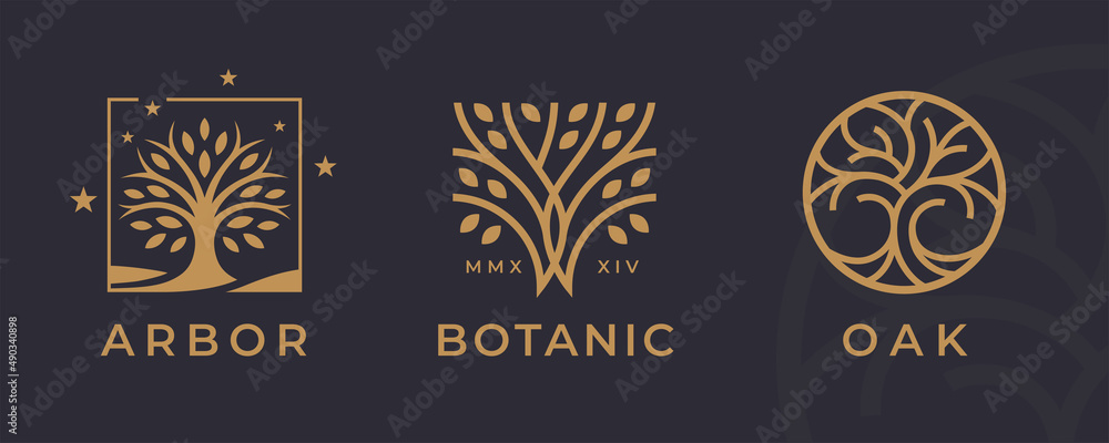 Tree logo icon set design. Garden plant natural symbols template. Tree of life branch with leaves business sign collection. Vector illustration.