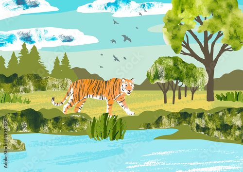 Summer landscape with tiger walks near the river. Big cat. Hand draw vector Illustration with animal, forest, birds, grass, bushes and clouds