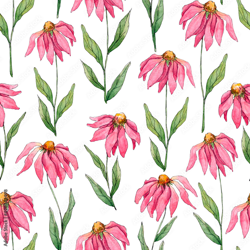 Fototapeta premium Seamless pattern of pink flowers with long petals and green leaves and stems on white. The background elements are painted in watercolor.