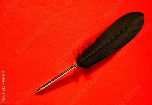 red and white feather