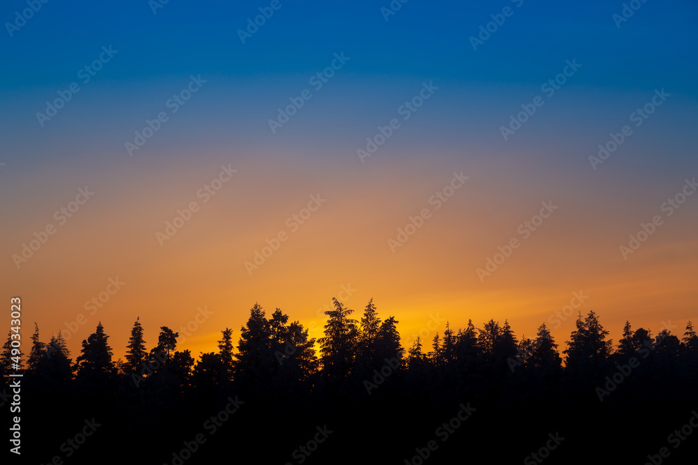Sunset sky with silhouettes of the forest