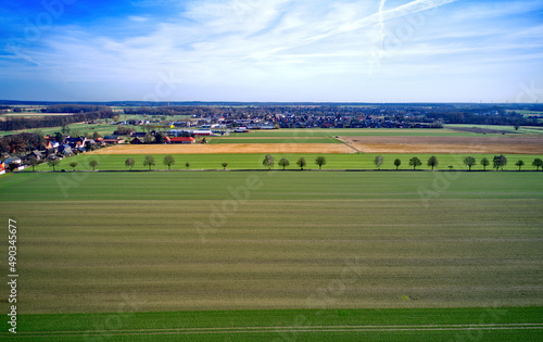 Aerial view of a flat landscape with fresh green farmland, a row of trees and a small town in front of the horizon