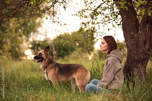 The  dog breed is on a walk in the summer in nature. The dog plays with its master. Banner. 