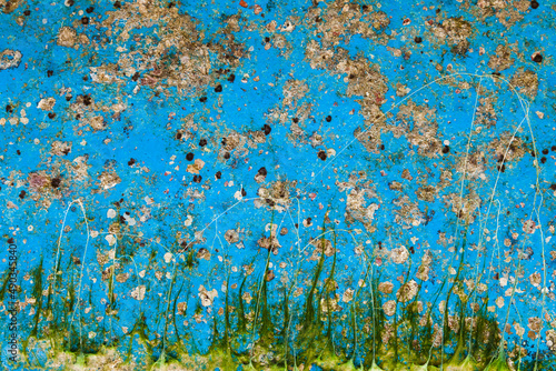 Schilderij op canvas Overgrown hull of a yacht after a long stay in the water