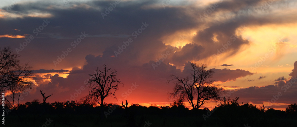 Cloud formations at sunset in the Moremi Game Reserve, Okavango Delta, Botswana
Cloud formations at sunset in the Moremi Game Reserve, Okavango Delta, Botswana