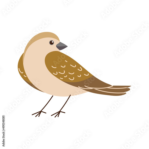 bird cartoon icon