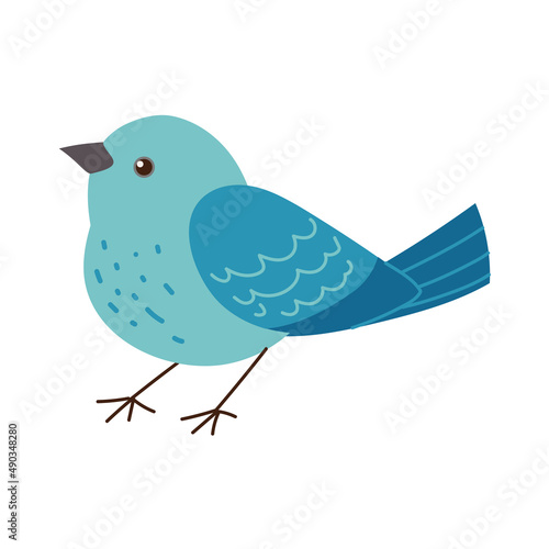 cute blue bird