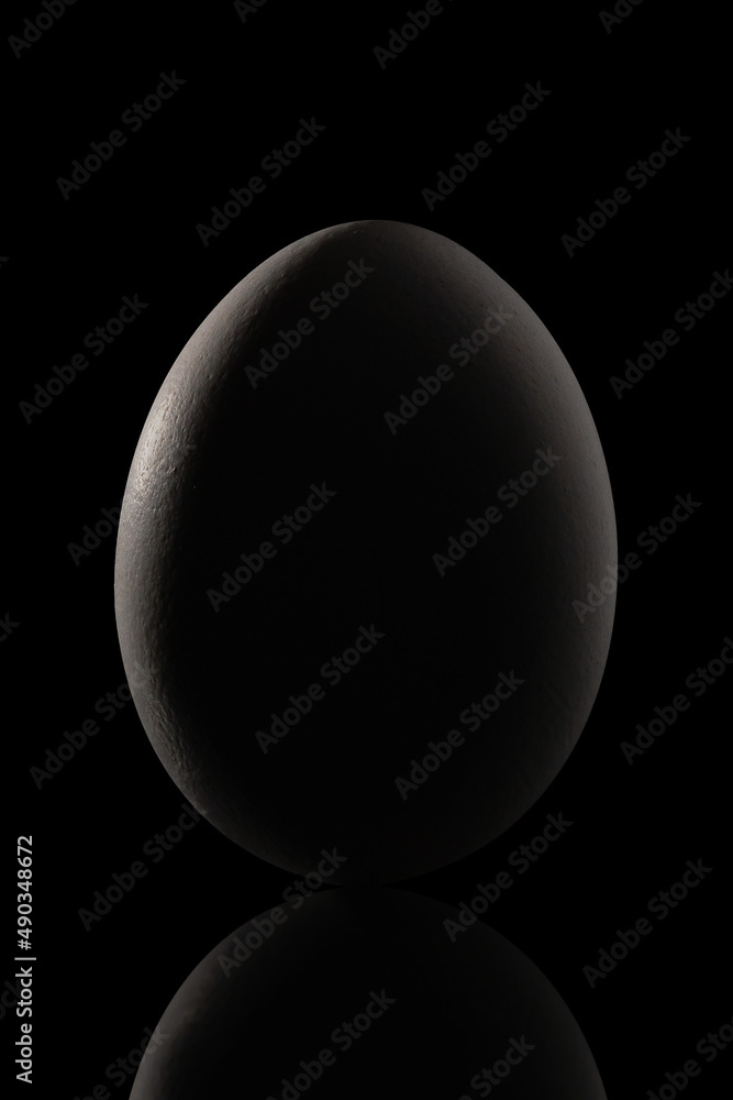 Chicken egg on dark background