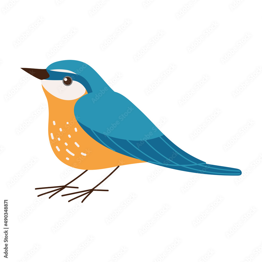 Obraz premium cute bird icon