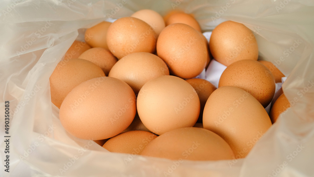 isolated chicken eggs on a white background isolated chicken eggs on a white background