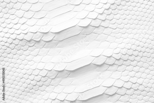 natural snake skin as a background. white snakeskin texture photo
