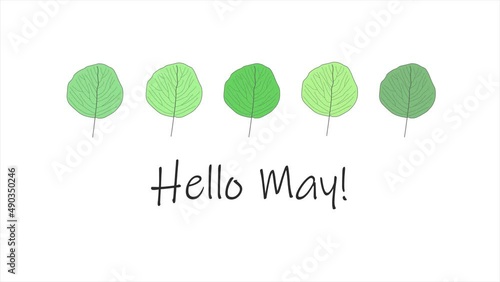 Animated video of 'Hello May' message on white background with vibrant green spring leaves above message. Leaves grow bigger and spin. Spring, season.
