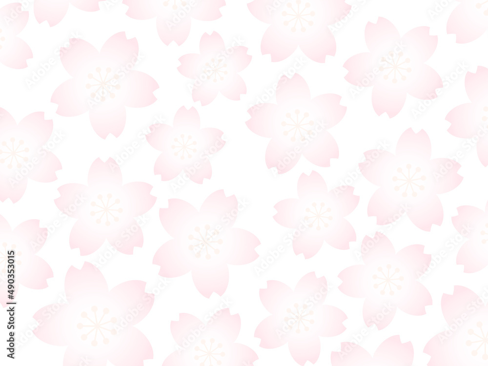 パステルカラーの桜の花の背景画像/白