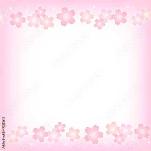 パステルカラーの桜の花とピンクの正方形の背景画像/上下装飾・桜小さめ © マイ アオノ