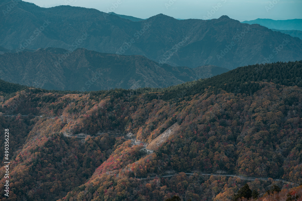 fall leaves on a mountain in Japan