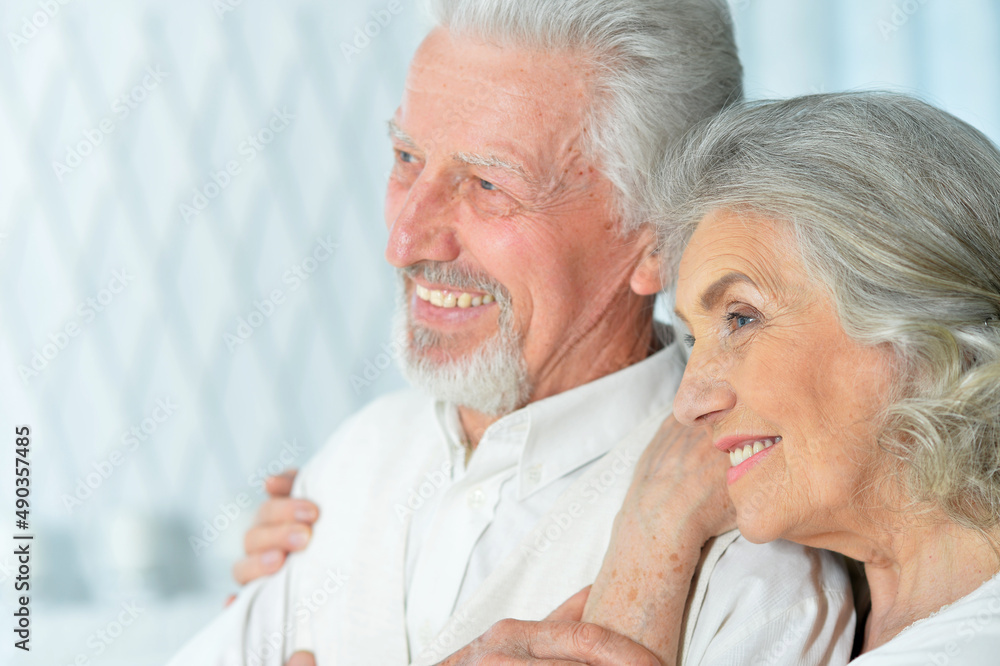 Close up portrait of happy beautiful senior couple posing at home Close up portrait of happy beautiful senior couple posing at home