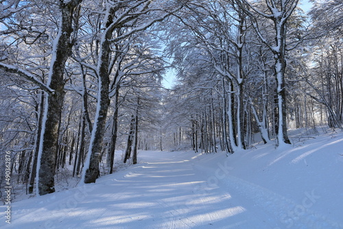 View on Prat Peyrot which is a winter sports resort of the C  vennes in the departments of Loz  re and Gard