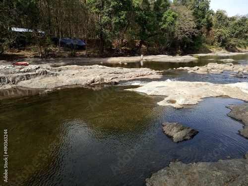 river in the woods
