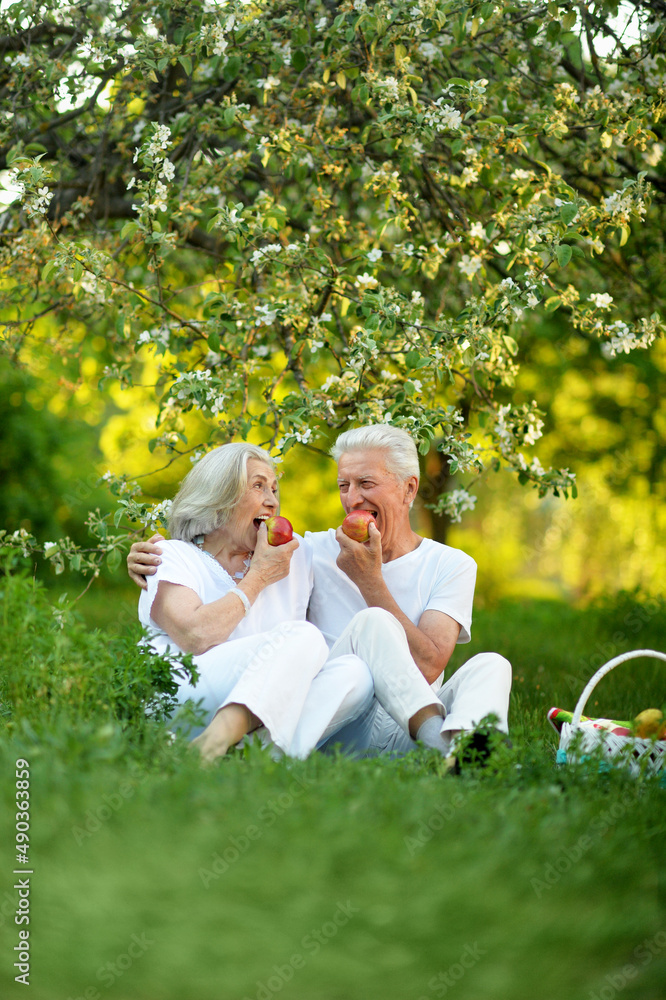 Portrait of happy senior couple having picnic Portrait of happy senior couple having picnic