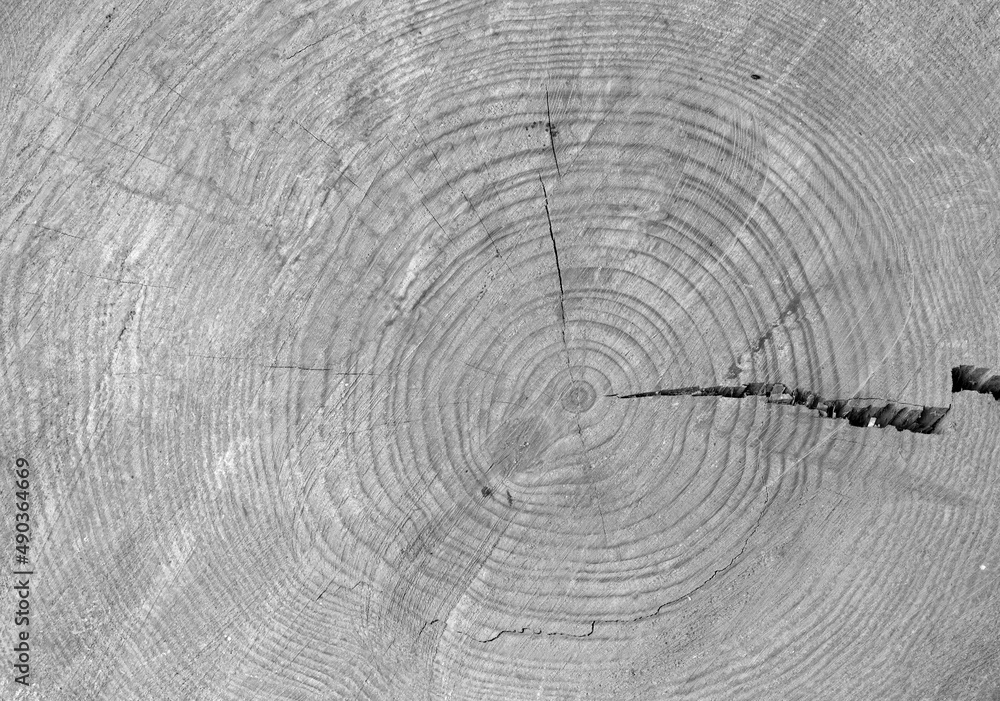 Old cracked wood texture background Old cracked wood texture background