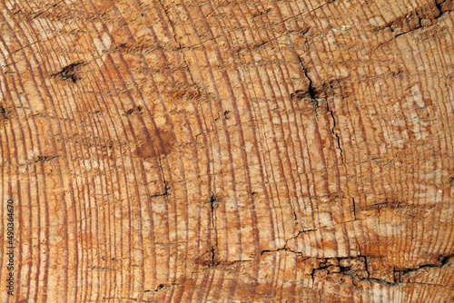 Old cracked wood texture background