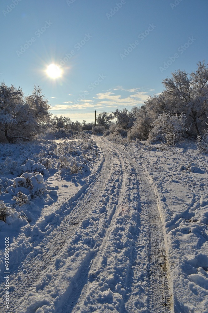 road in winter road in winter