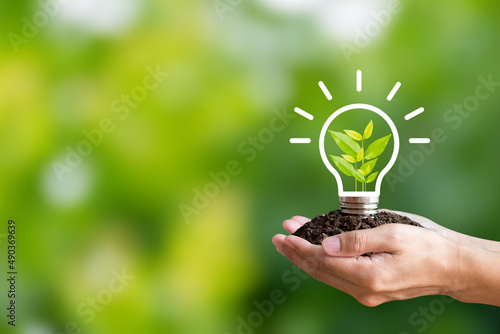 Hand holding light bulb with tree in light bulb on green background. Demonstrates energy savings and turns to solar and natural energy. Saving energy is helping both ourselves and the planet.