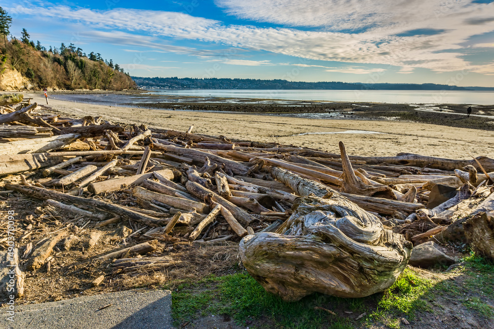 Northwest Sandy Shoreline 4 Northwest Sandy Shoreline 4