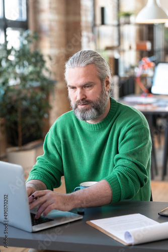 Mature bearded businessman sitting on his workplace and typing on laptop during work at office © AnnaStills