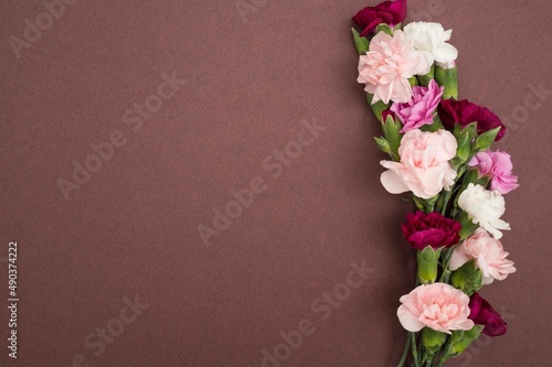 Horizontal flat lay with mini carnations on burgundy background