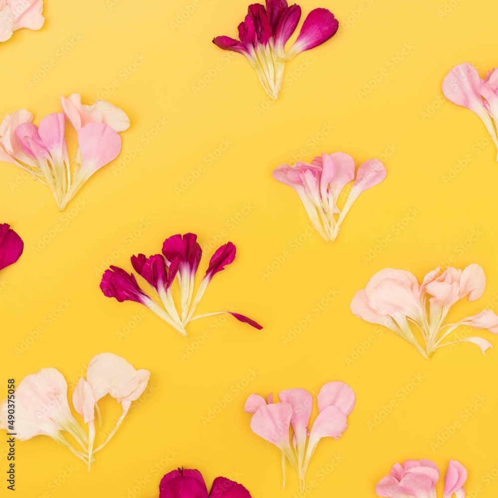 Bright yellow floral flat lay with deconstructed flowers