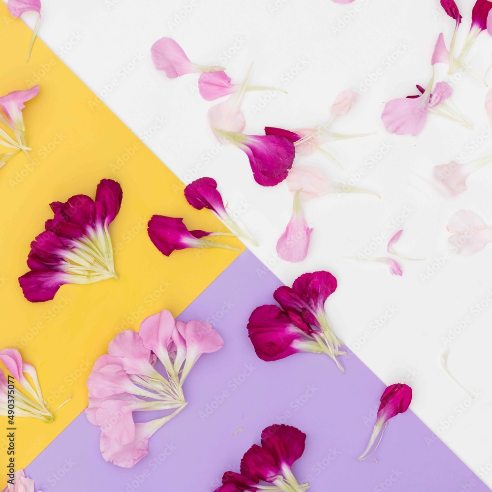 Bright yellow, lavender and white color block floral flat lay