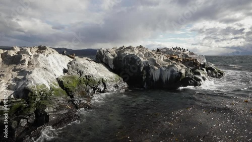 Wallpaper Mural Point of view of a ship. A rocky island at sea. We can see some sea lions and cormorant birds, Phalacrocorax magellanicus, under a cloudy sky. Torontodigital.ca