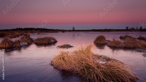 Hohes Venn in Belgien, Hochmoor, Eifel