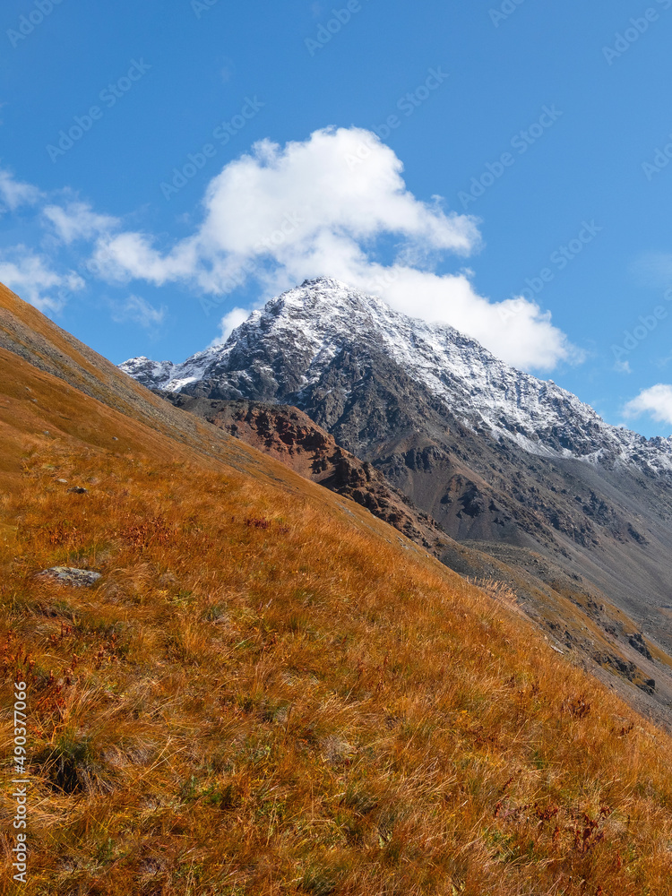 Minimalist autumn landscape with diagonal orange mountainside covered with dwarf birch. Minimal mountain scenery with slope of hill in golden sunlight in autumn time. Vertical view. Minimalist autumn landscape with diagonal orange mountainside covered with dwarf birch. Minimal mountain scenery with slope of hill in golden sunlight in autumn time. Vertical view.