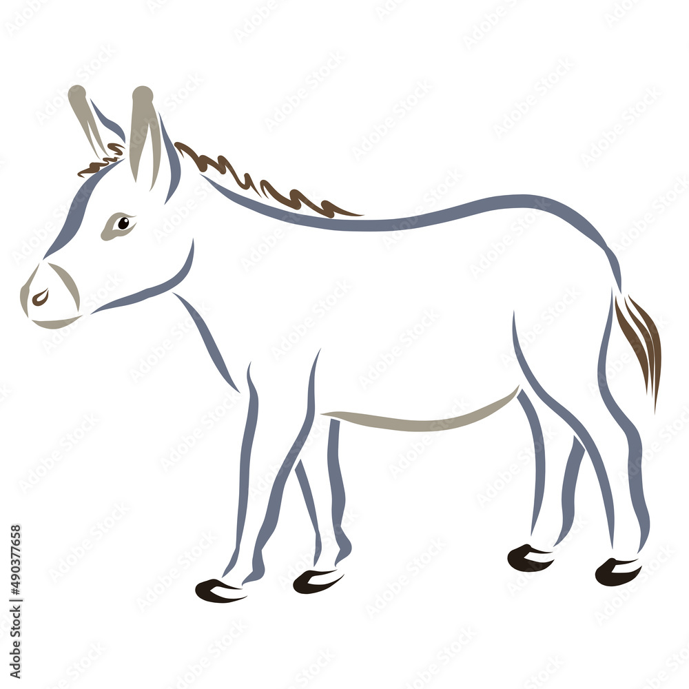 gray donkey is walking, contour on white background