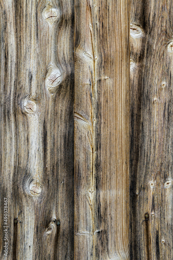 Fototapeta premium Holzbretter mit Maserung