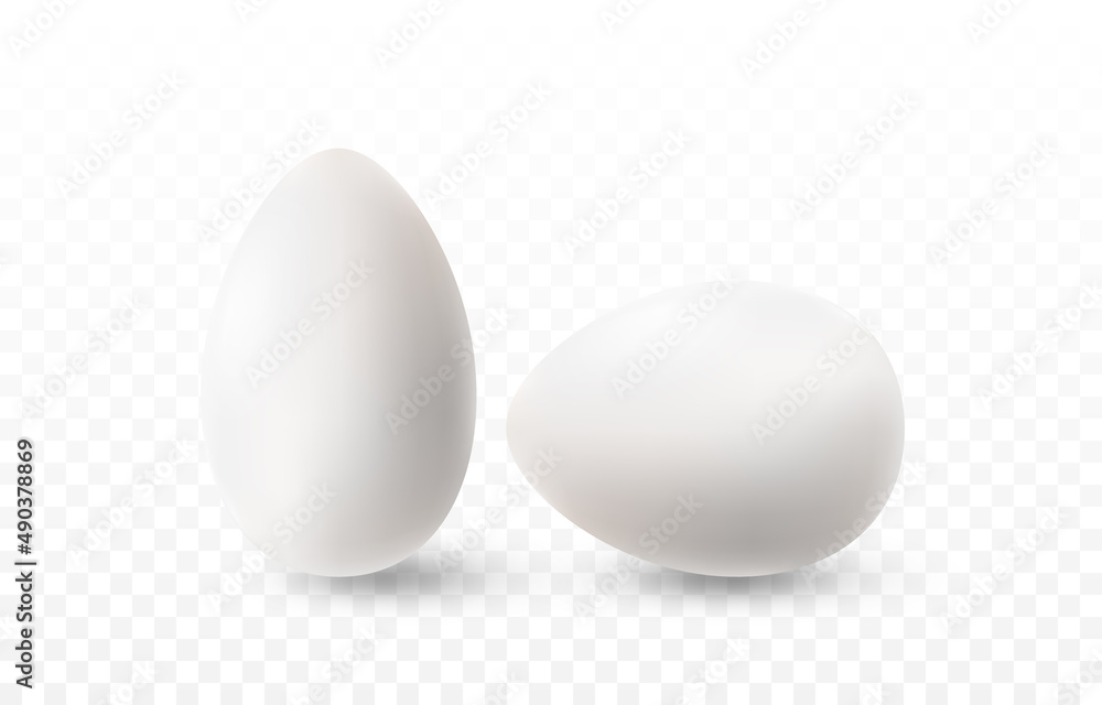 Vector egg png. Realistic white egg on isolated transparent background. Easter, holiday. Vector egg png. Realistic white egg on isolated transparent background. Easter, holiday.