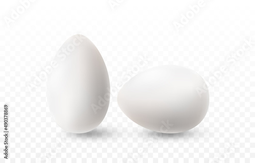 Vector egg png. Realistic white egg on isolated transparent background. Easter, holiday.