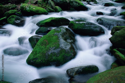 Stream with rocks, North Carolina, USA photo