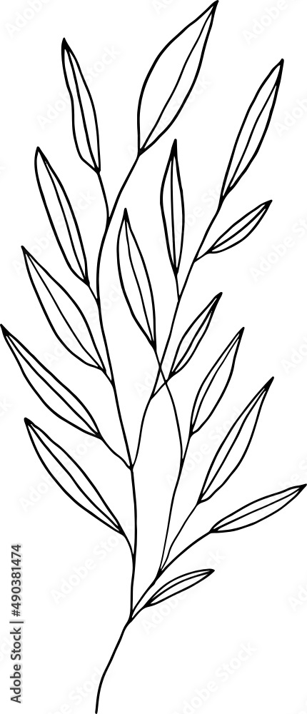 collection forest fern eucalyptus art foliage natural
leaves herbs in line style. Decorative beauty, elegant illustration
Vector flower Botanical collection forest fern eucalyptus art foliage natural
leaves herbs in line style. Decorative beauty, elegant illustration
Vector flower Botanical