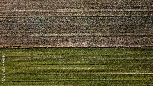 Zielone i czarne pole widziane z góry z lotu ptaka.