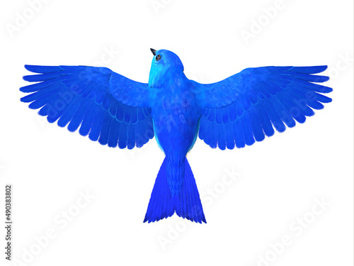 Bluebird of Happiness Wings - The Bluebird of Happiness is a symbol of joy and looking forward to better times in the future.