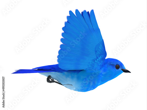 Bluebird of Happiness - The Bluebird of Happiness is a symbol of joy and looking forward to better times in the future.